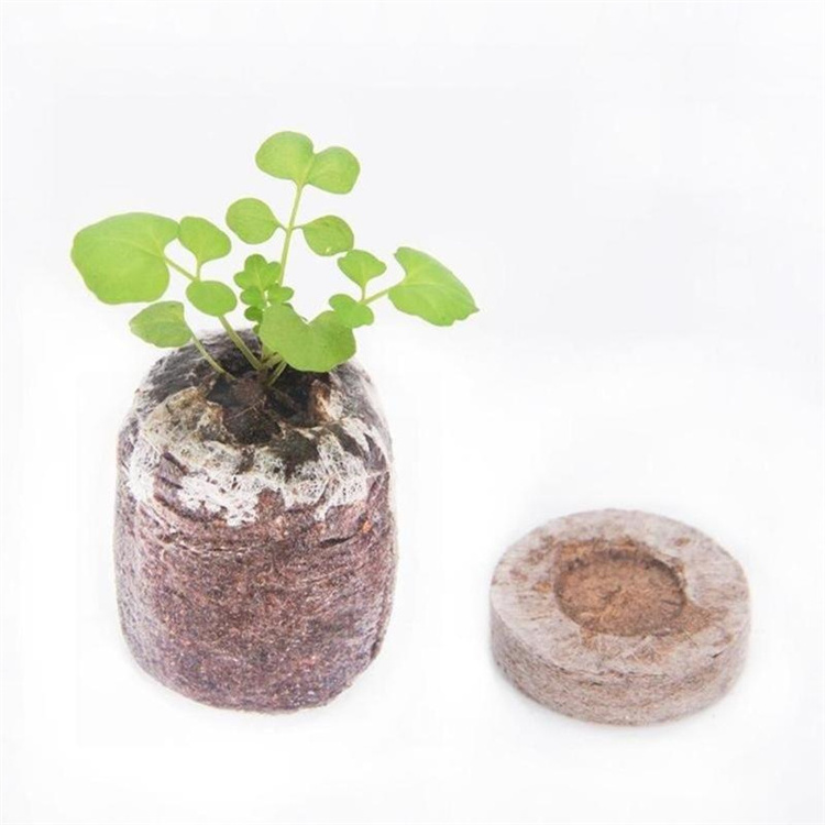 coco Peat prllets disc moss coconut coir Pellets Seed Starting Plugs Pallet Seedling Soil Block