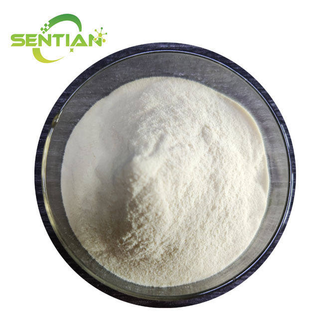 High Quality Food Additive Gelatin 250 bloom Gelatin halal food grade Gelatin Powder