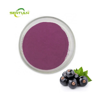 Natural Ribes Nigrum Fruit Freeze Dried Powder black currants/Blackcurrant Powder