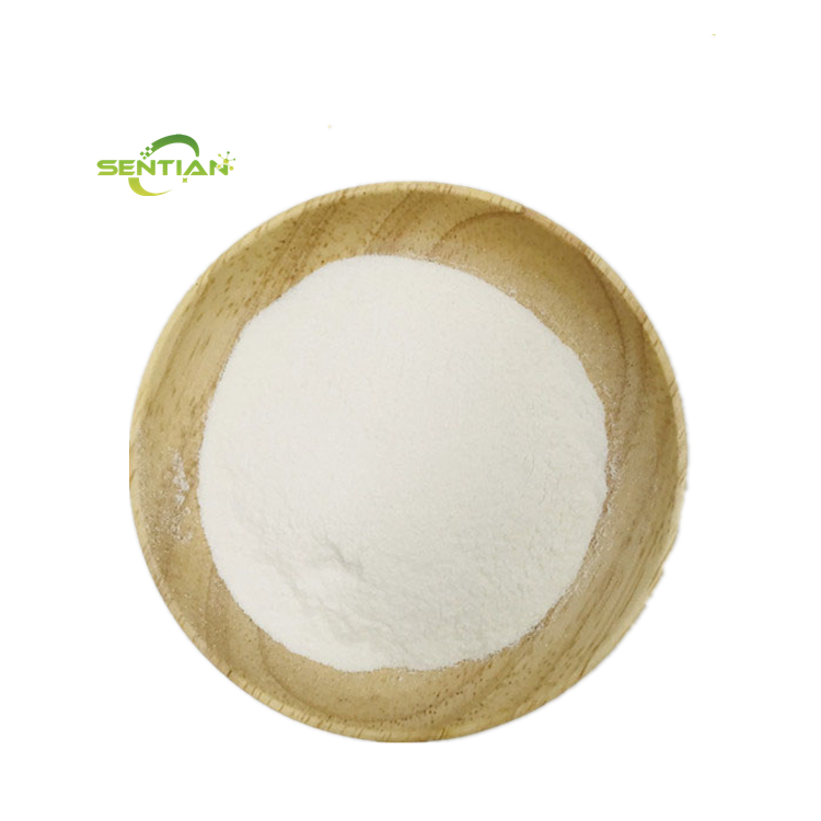 Factory supply Magnesium l-threonate supplement CAS 778571-57-6 magnesium l-threonate Powder