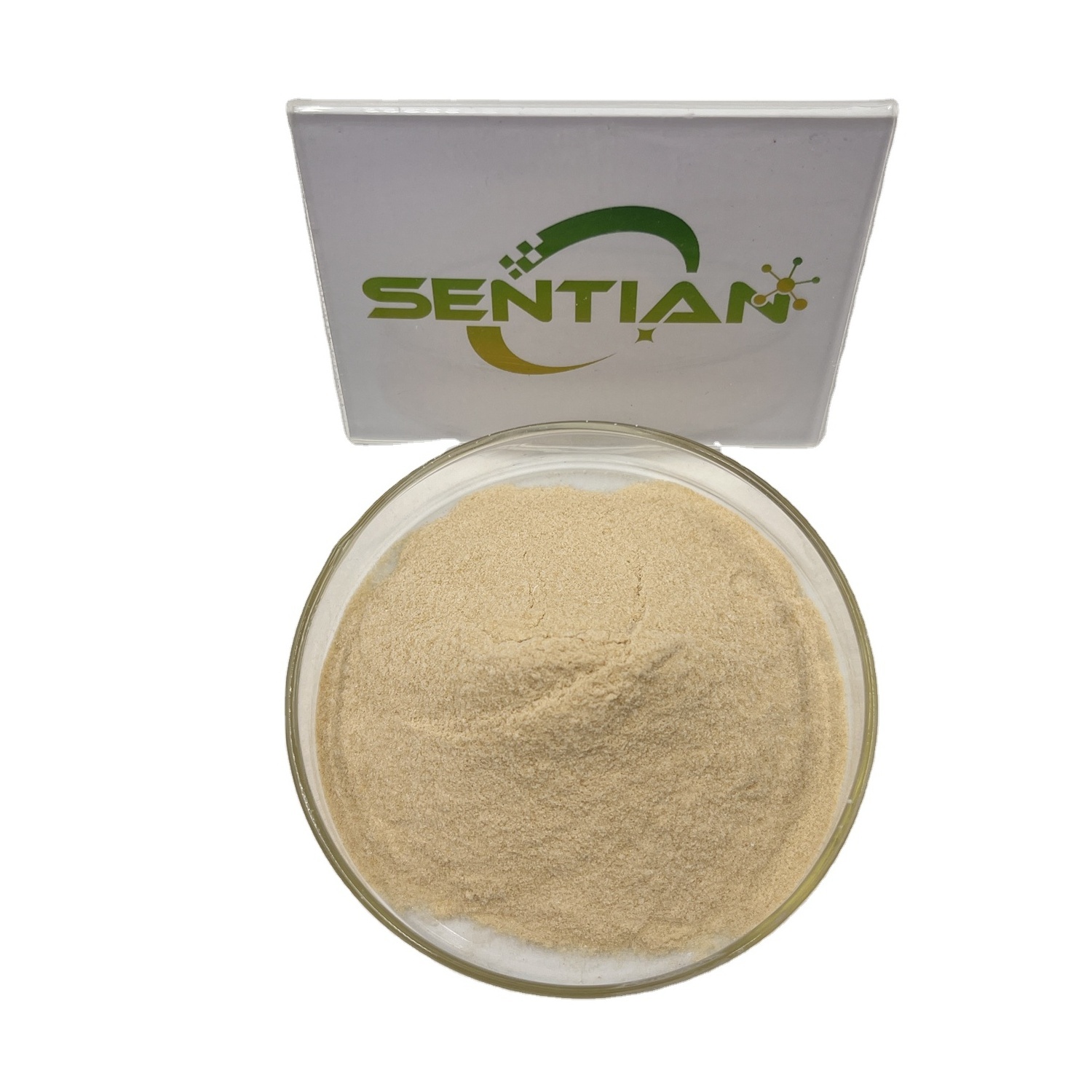 Beta Dextranase Powder Extract Dextranase Enzyme Powder