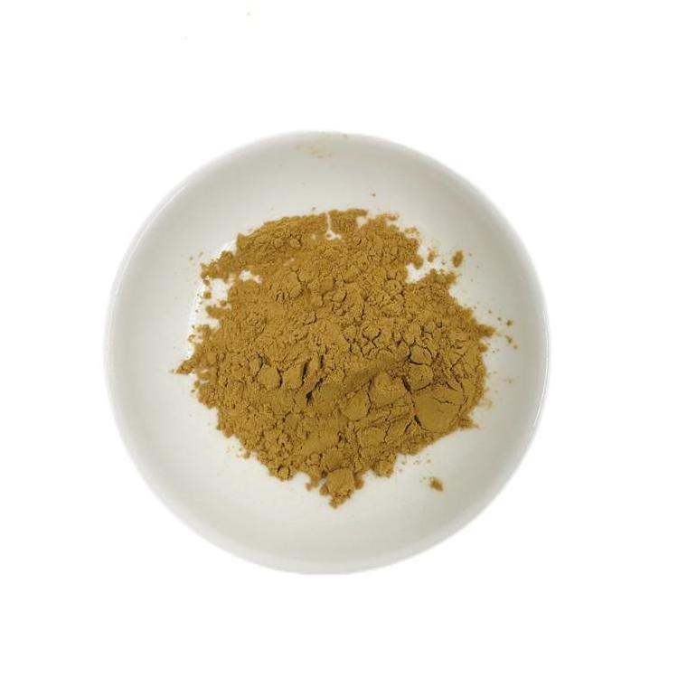 Chinese Herb Supplements quality guaranteed Loquat leaf extract 10:1 powder Loquat leaf extract