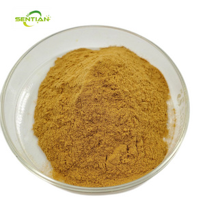 Bulk wholesale Kava Root extract Kavalactones Kava root extract Powder 10:1 kava extract powder