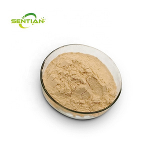 factory supplies high-quality Dextranase food grade cas 9025-70-1 Dextranase Enzyme Powder