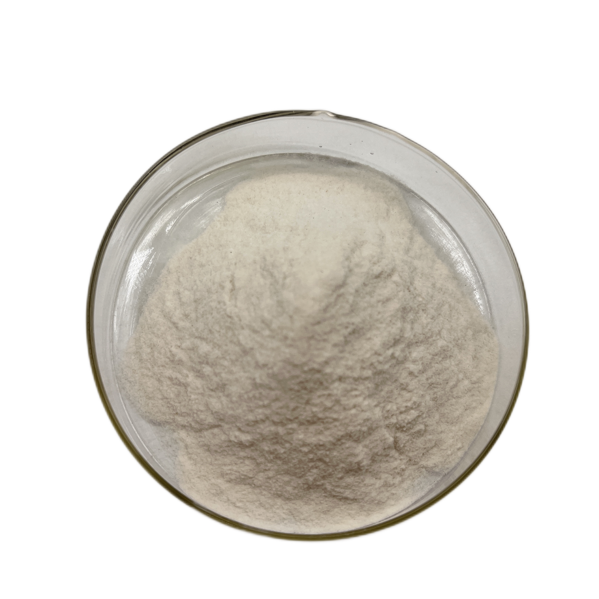 beta-glucanase enzyme Food Additive beta glucanases Beta-Glucanase