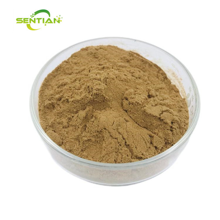 Chinese Herb Supplements quality guaranteed Loquat leaf extract 10:1 powder Loquat leaf extract