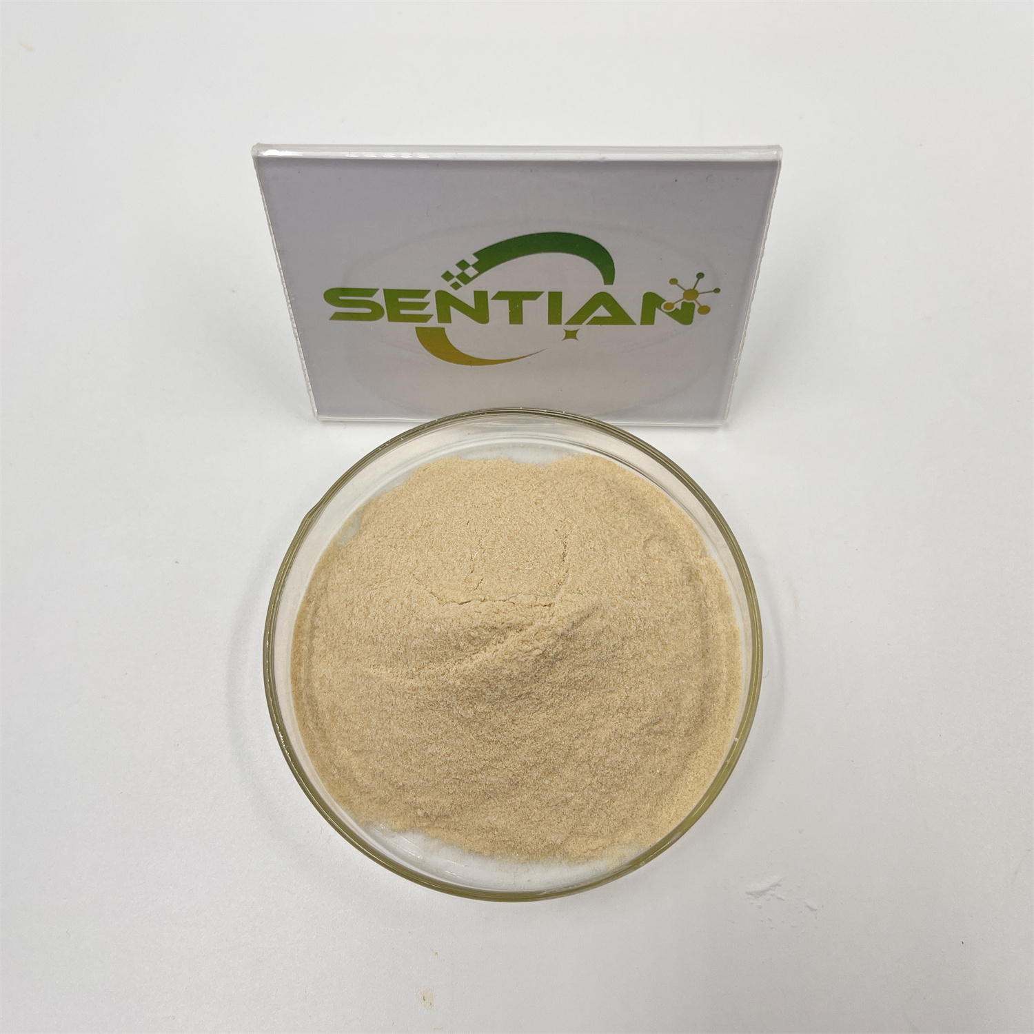 Beta Dextranase Powder Extract Dextranase Enzyme Powder