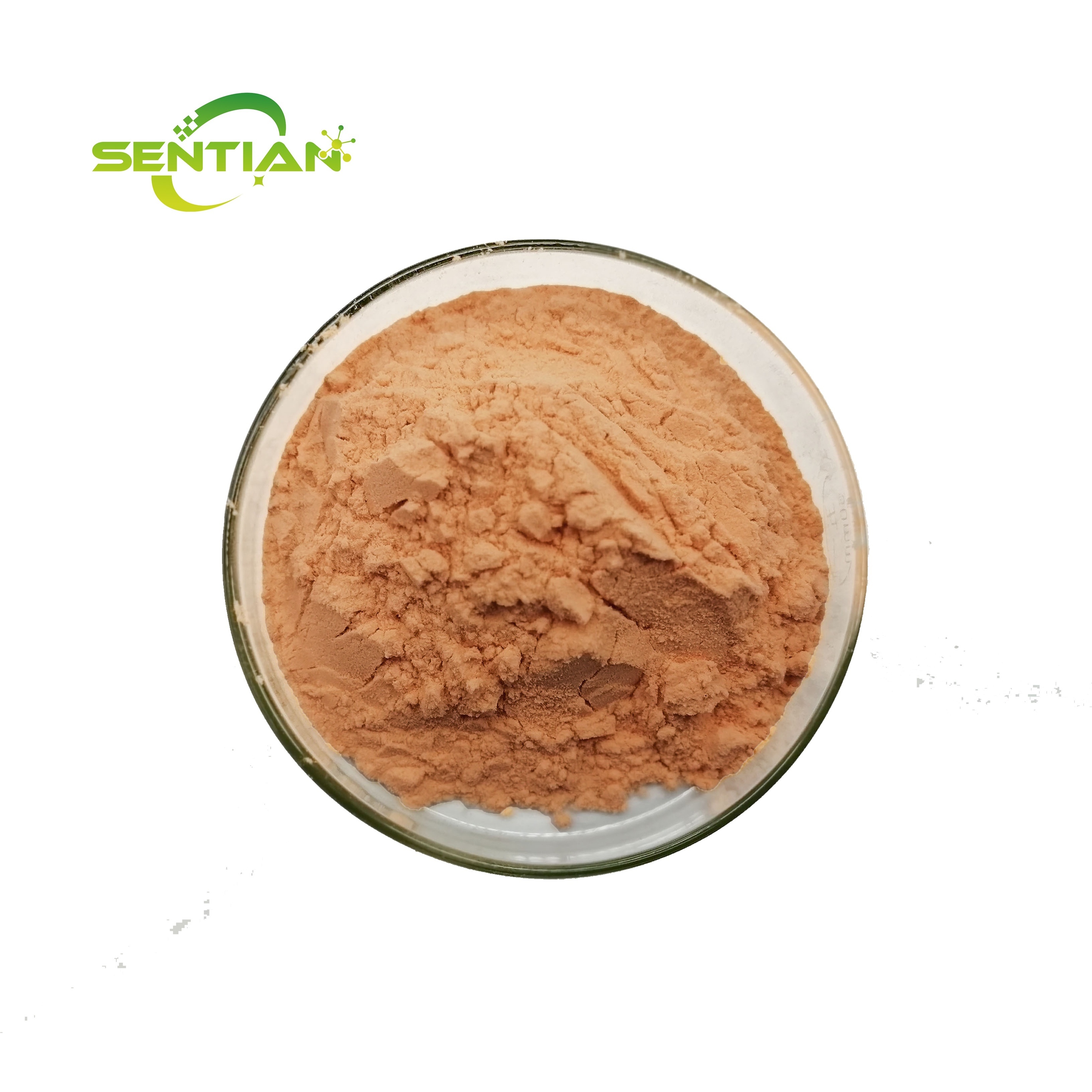 Natural Grapefruit juice powder high quality freeze dried red grapefruit powder