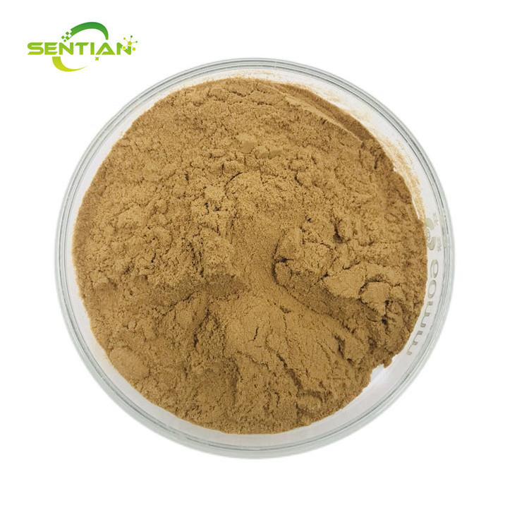 Chinese Herb Supplements quality guaranteed Loquat leaf extract 10:1 powder Loquat leaf extract