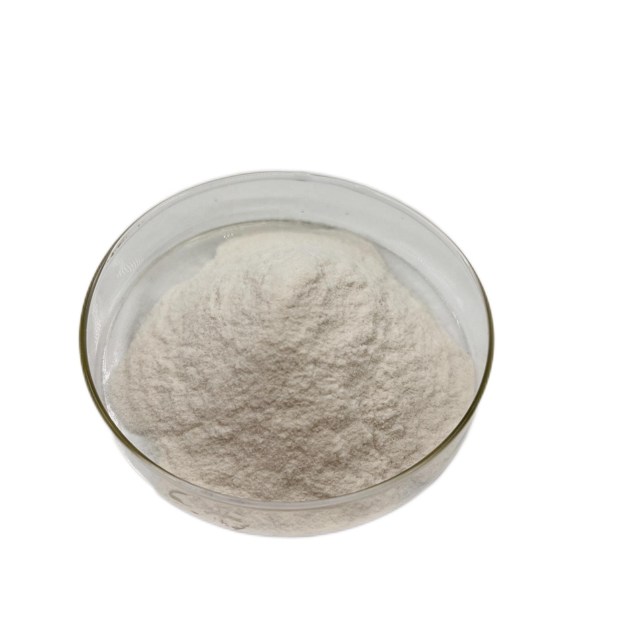 beta-glucanase enzyme Food Additive beta glucanases Beta-Glucanase