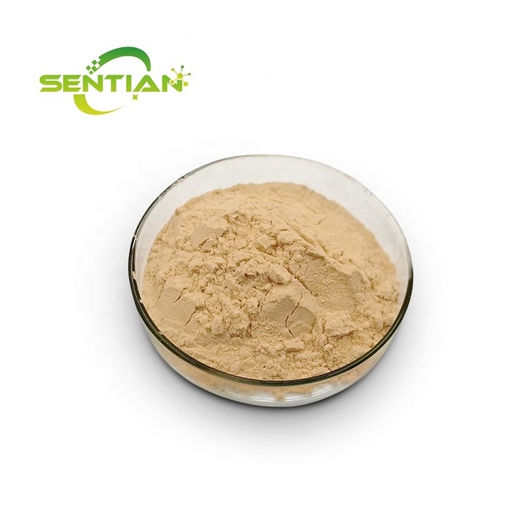 factory supplies high-quality Dextranase food grade cas 9025-70-1 Dextranase Enzyme Powder