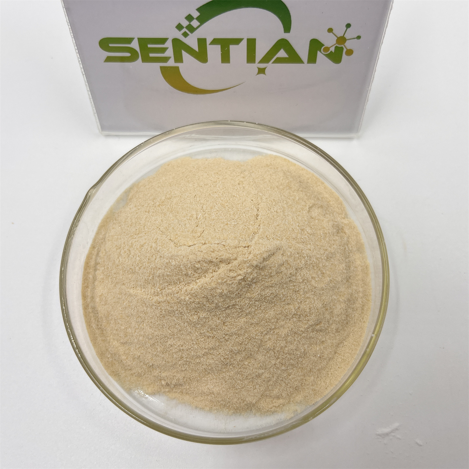 Beta Dextranase Powder Extract Dextranase Enzyme Powder