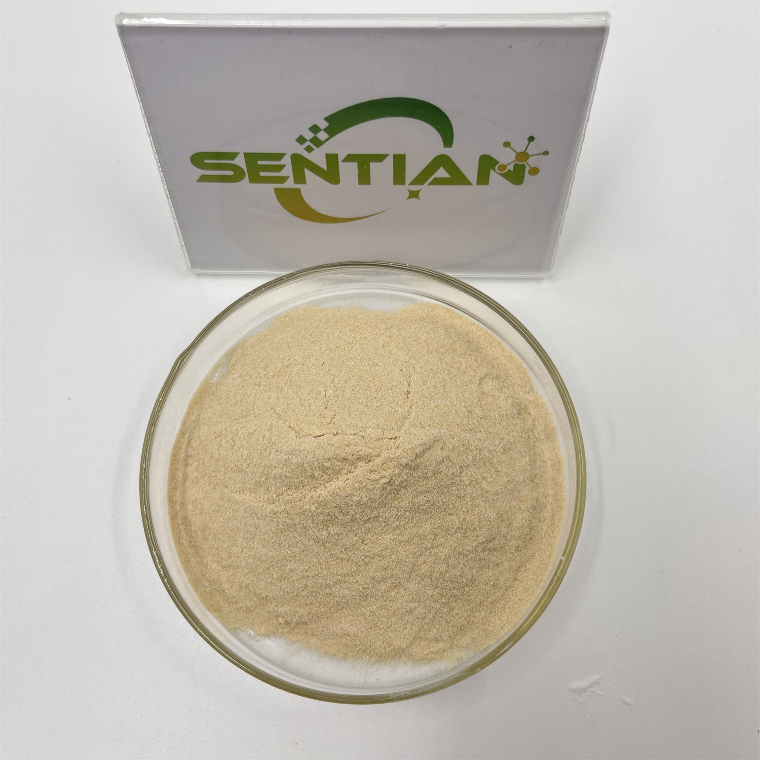 Beta Dextranase Powder Extract Dextranase Enzyme Powder