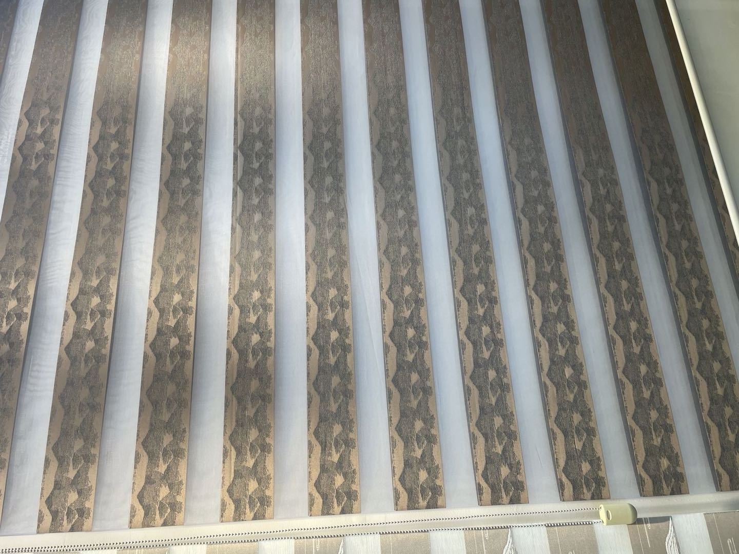 Zebra roller blinds with dual layers sheer window shades