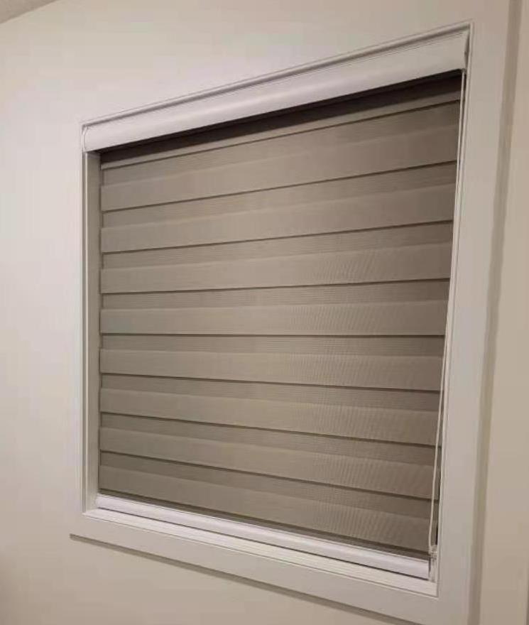 Zebra roller blinds with dual layers sheer window shades