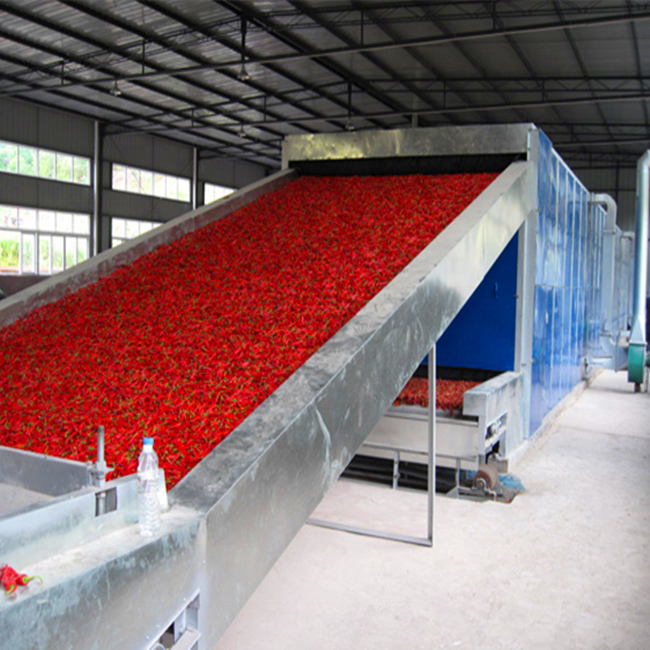 DWT series conveyor mesh tobacco leaf belt dryer