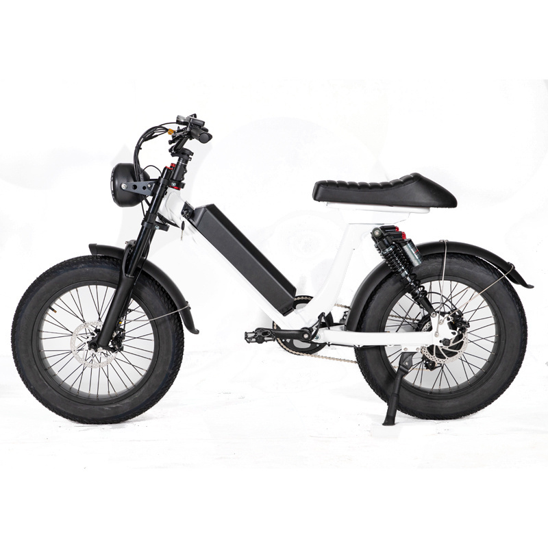 2023 Adult Electric Bike Fat Tire Full Suspension 500W 750w 1000w 48V 36v hub Motor Electric Fat tire e bike 20 Inch