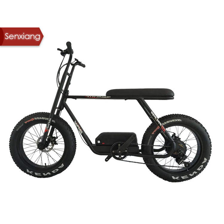 High Quality Electric Bikes For Girls Commuters e bike Fat Bike Women simple 20 inch big tire 36v 48V 500w snow tire europe