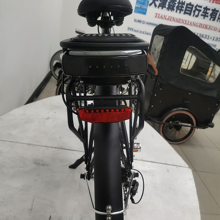 2024 Hot Sell Fashion Electrical Bicycle Factory Direct City Electric Bike E Bike for City