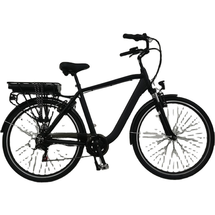 2024 Hot Sell Fashion Electrical Bicycle Factory Direct City Electric Bike E Bike for City