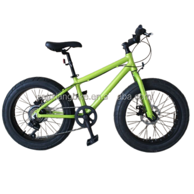 20 inch fat tire bike customized from factory students bike kids bike