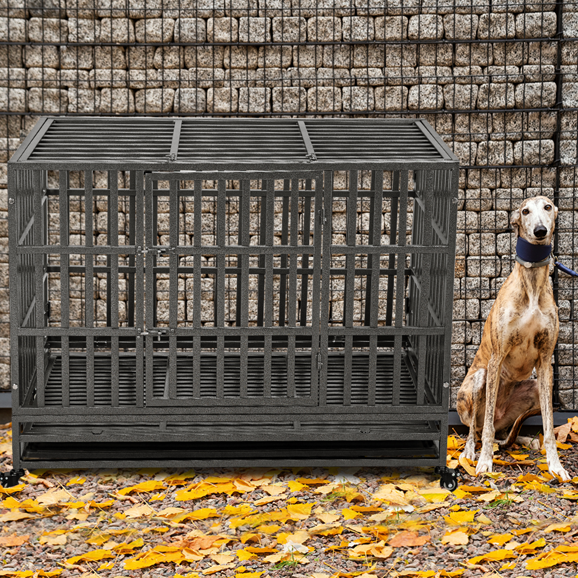 48inch Pet Strong Metal Kennel Cage on Wheels by Tear Resistant Square Tube - Puppy Training Playpen Heavy Duty Dog Crate