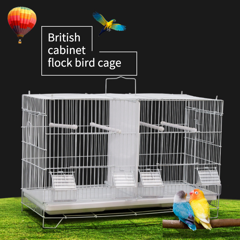 Factory Directly Sale Cheapest Price Dog Cages Metal Kennels Large Dog Crates Stainless Steel Birds Taizhou Plastic Animal