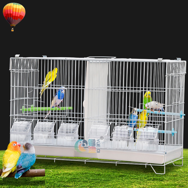 Wholesale Parrot Pigeon Breeding Wire can customized hot sell Bird Cages