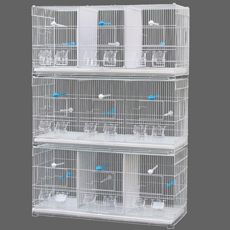 Pet Cagedirectly Sale Cheapest Price Dog Cages Metal Lablackipigeon Cageeel Animal Bird Cage Plastic Trays Sustainable Big Cage