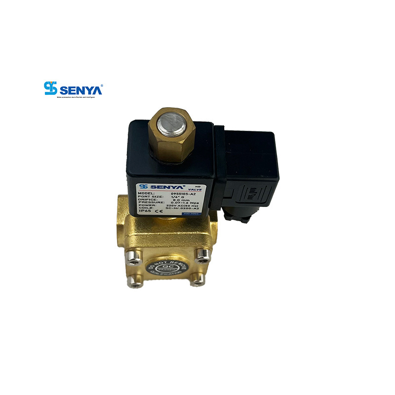 Custom 220V Solenoid Coil Explosion Proof Magnetic Pilot Operated Solenoid Valve 12V DC Air Conditioner Electric Solenoid Valve