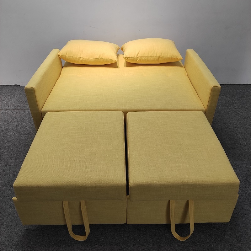 Modern minimalist two seat sofa cum bed with storage