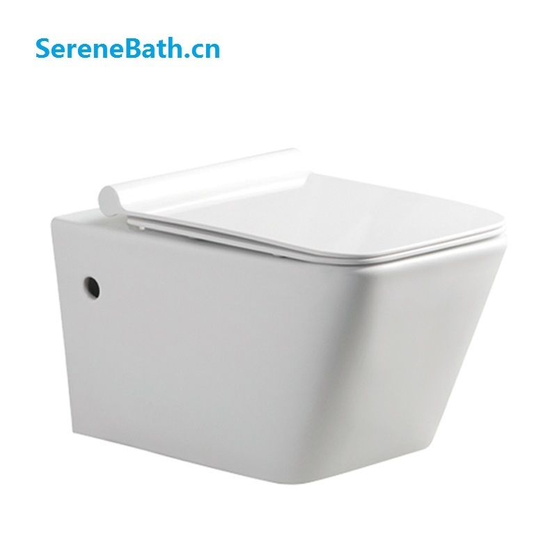 sanitary ware bathroom wall hung toilet bathroom rimless wall mounted chinese girl go to toilet