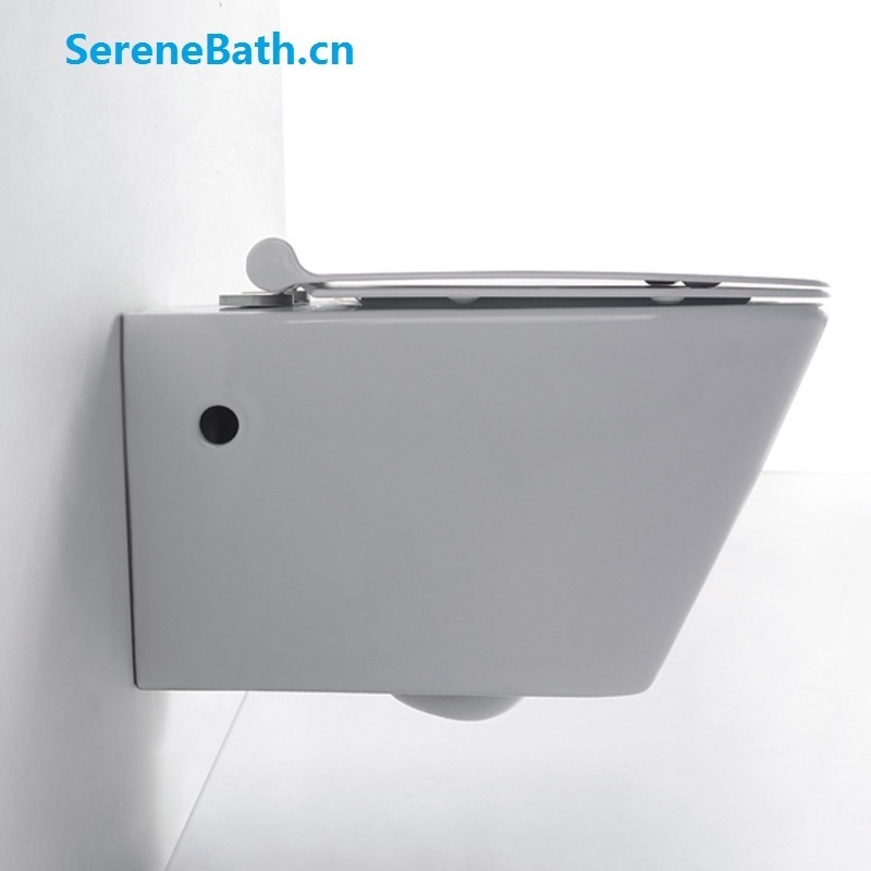 sanitary ware bathroom wall hung toilet bathroom rimless wall mounted chinese girl go to toilet