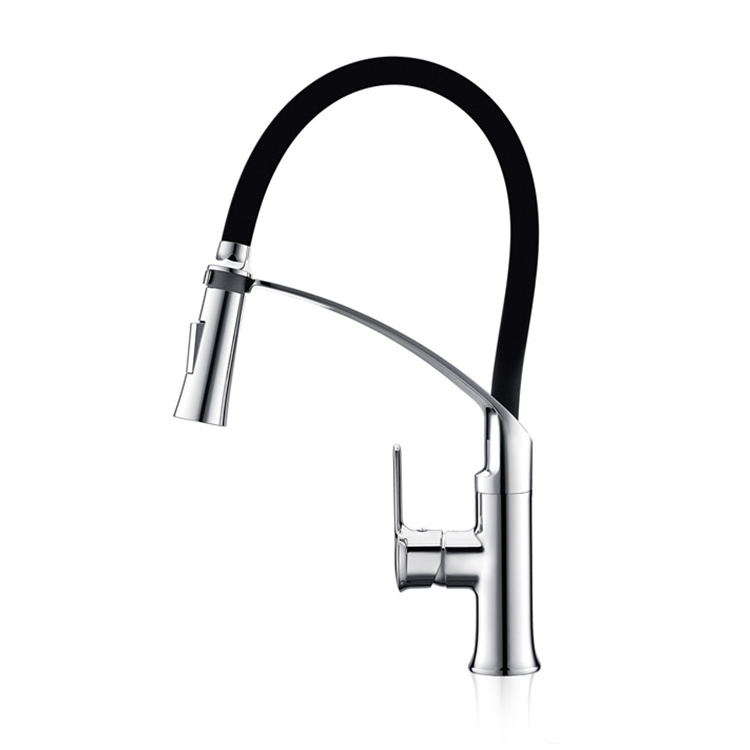 Water Faucet Tap Mixed Silica Gel Tube Spout Kitchen Sink Bar Silicone Chrome Dual Outlet Spray Steam Black Single Handle Modern