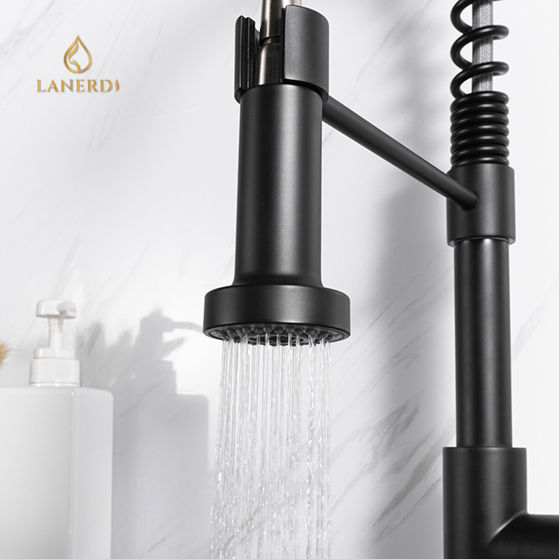 Lanerd Flexible Hose Pull Down Kitchen Sink Water Single Lever Faucet Mixer 304 Stainless Steel Matte Black Laser LOGO Modern