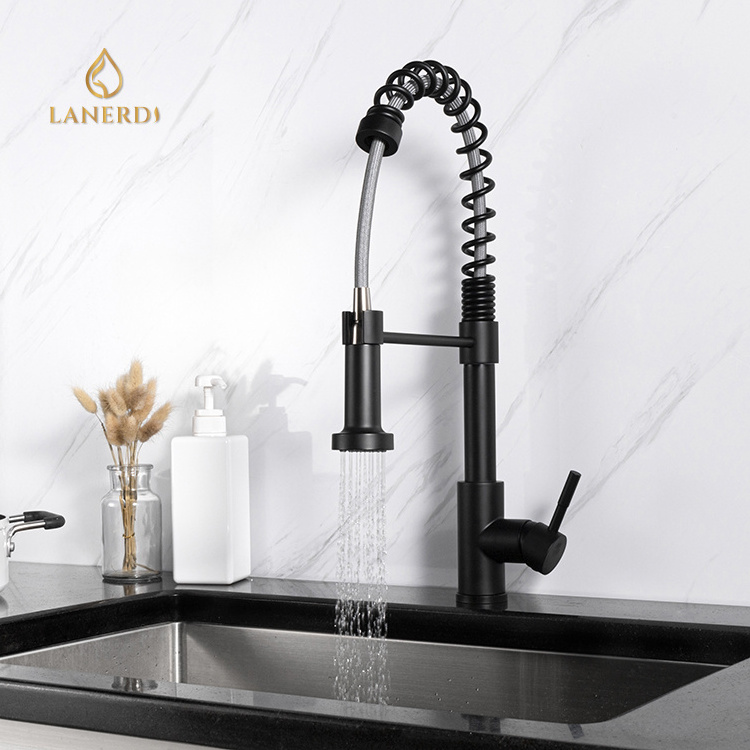 Lanerd Flexible Hose Pull Down Kitchen Sink Water Single Lever Faucet Mixer 304 Stainless Steel Matte Black Laser LOGO Modern