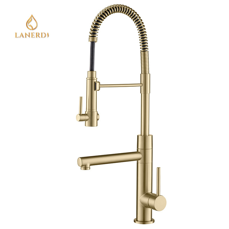 Lanerdi Luxury Design God Brass Pull Down Spring Kitchen Faucet with Pull Down Sprayer Sink Faucet