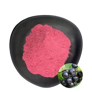 100% Pure Aronia Chokeberry Extract Concentrate Powder Aronia Berry Juice Powder Wild Cherry Berry Powder