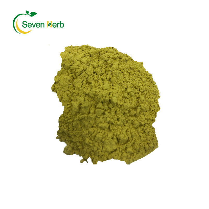 Factory  Supply   Bulk Price Sophora Japonica Extract 98% Quercetin