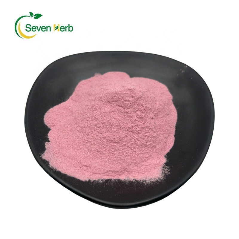 Factory Supply High Quality Grapefruit Powder Food Grade Freeze Dried Grapefruit Juice Powder Grapefruit Extract