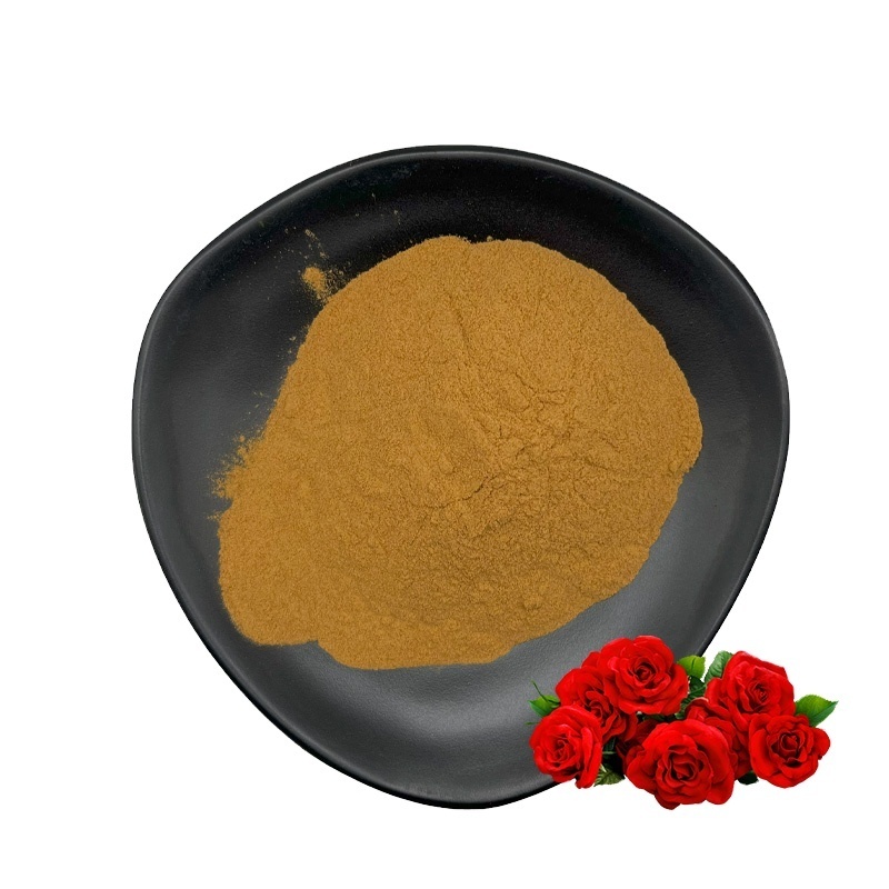 Hot Selling Natural Rose Extract Powder Rose Leaf Extract for Supplements