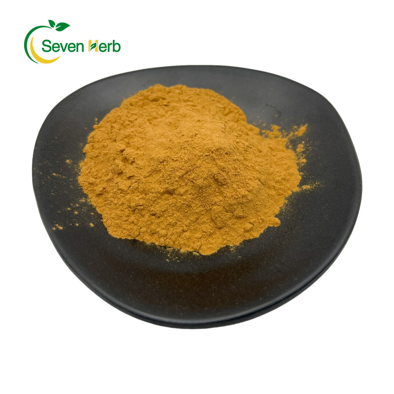 100% Natural Horse Chestnut Extract Powder 40% 20% Aescin HPLC Aesculus Hippocastanum Extract