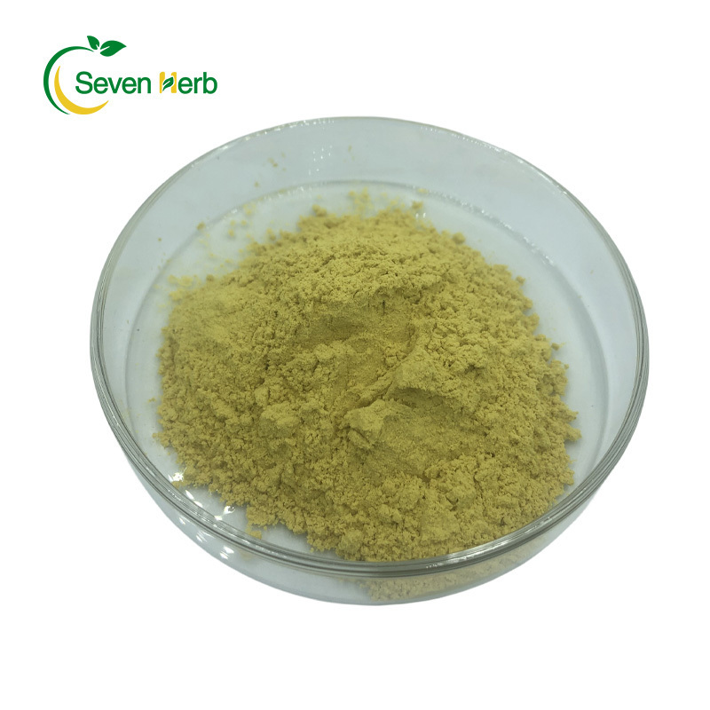 Factory  Supply   Bulk Price Sophora Japonica Extract 98% Quercetin