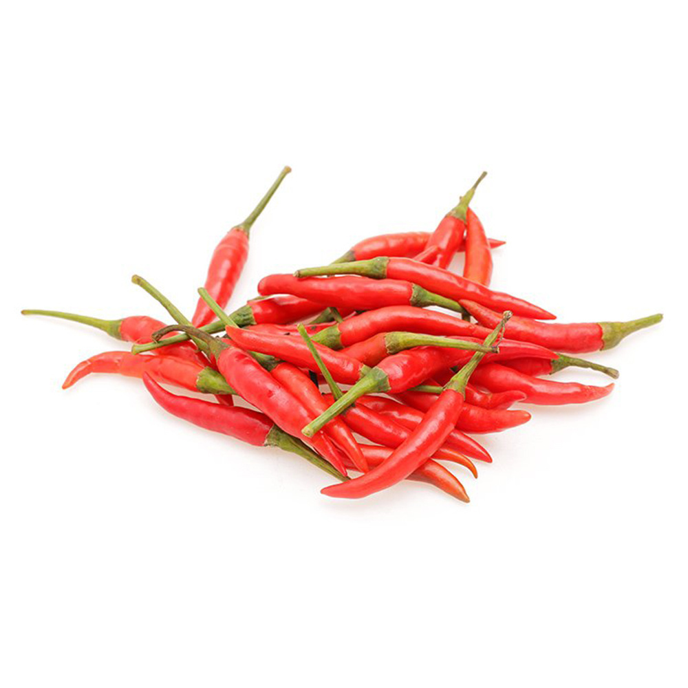 Best Price Fresh Red Chilli With Customized Size Packing For Cooking Uses From Vietnam