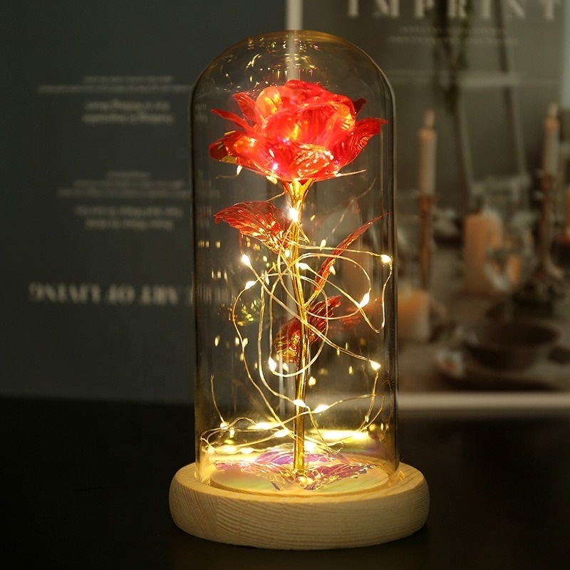 Girlfriend Valentines 2024 Led Light Glass Dome Galaxy Rose Flower Mini Bear For Christmas Valentine's Day Birthday Gift