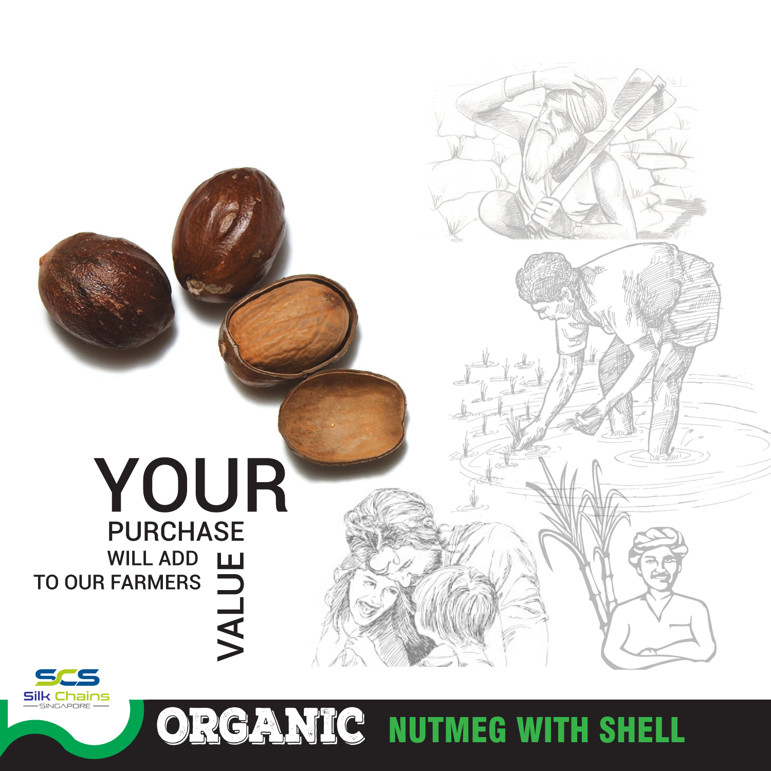 Organic Nutmeg With Shell