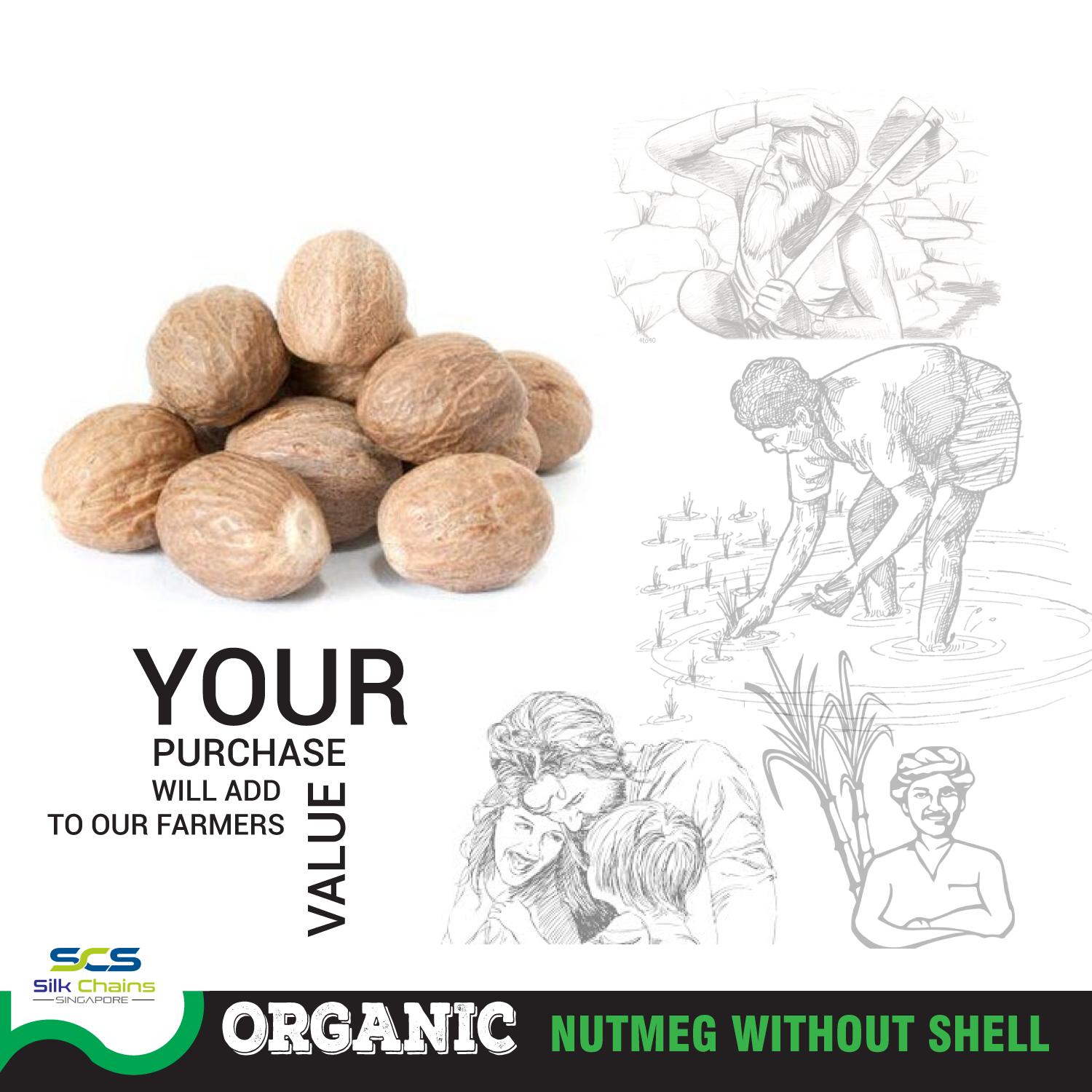 Organic Nutmeg  - Without Shell