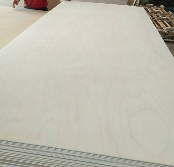 18MM High Quality Wood Plywood with Cheap Price for Furniture