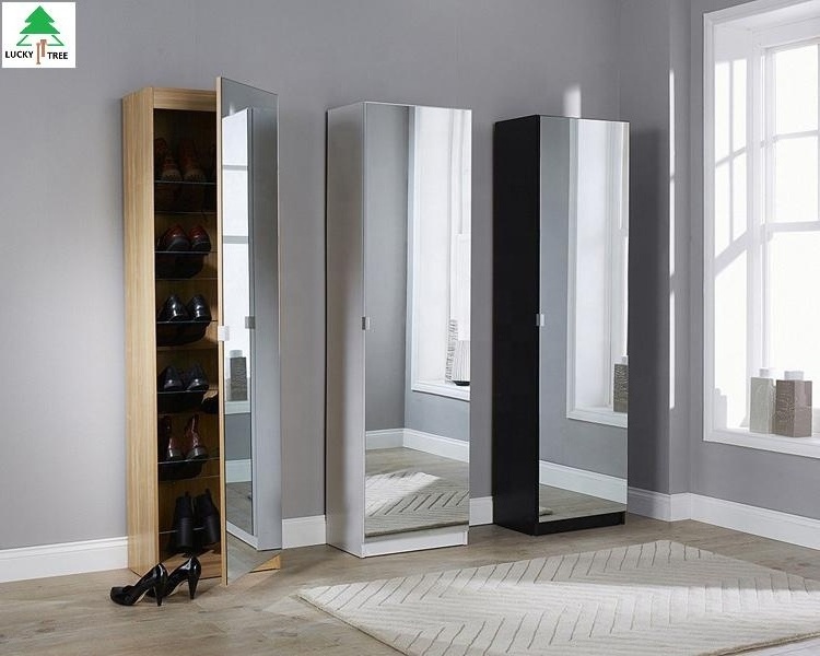 Modern mirrored shoe cabinet wall mounted shoe rack storage cabinet with mirror