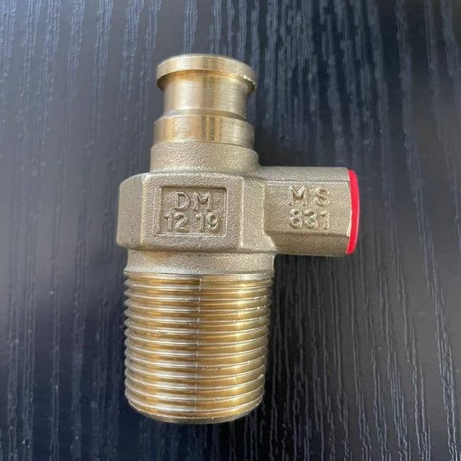 2021 hot sale Malaysia MS 831 certification D20 self-closing safety LPG valve